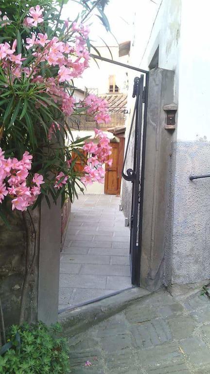 Casa Traquandi Apartment Castiglion Fiorentino Ngoại thất bức ảnh